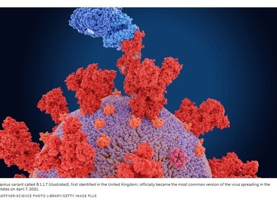 Science News назвало британский штамм коронавируса наиболее заразным и смертоносным