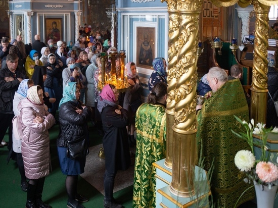 Православные костромичи отметили Вербное Воскресенье
