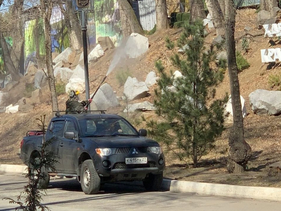 На стадионе имени Ленина в Хабаровске проведут обработку от клещей