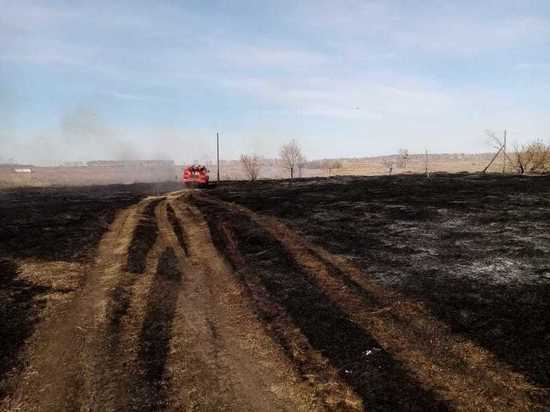 Более 700 раз выезжали тушить горящую траву пожарные в Новосибирской области за неделю