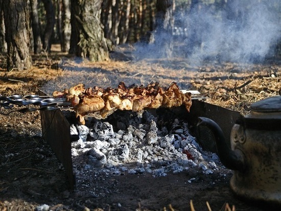 С сегодняшнего дня в лесах Татарстана запрещено готовить шашлыки
