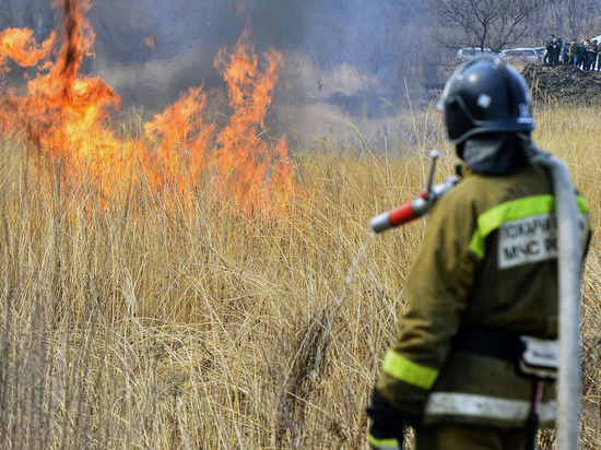 В 12 районах и трех городах Красноярского края МЧС ввело особый противопожарный режим