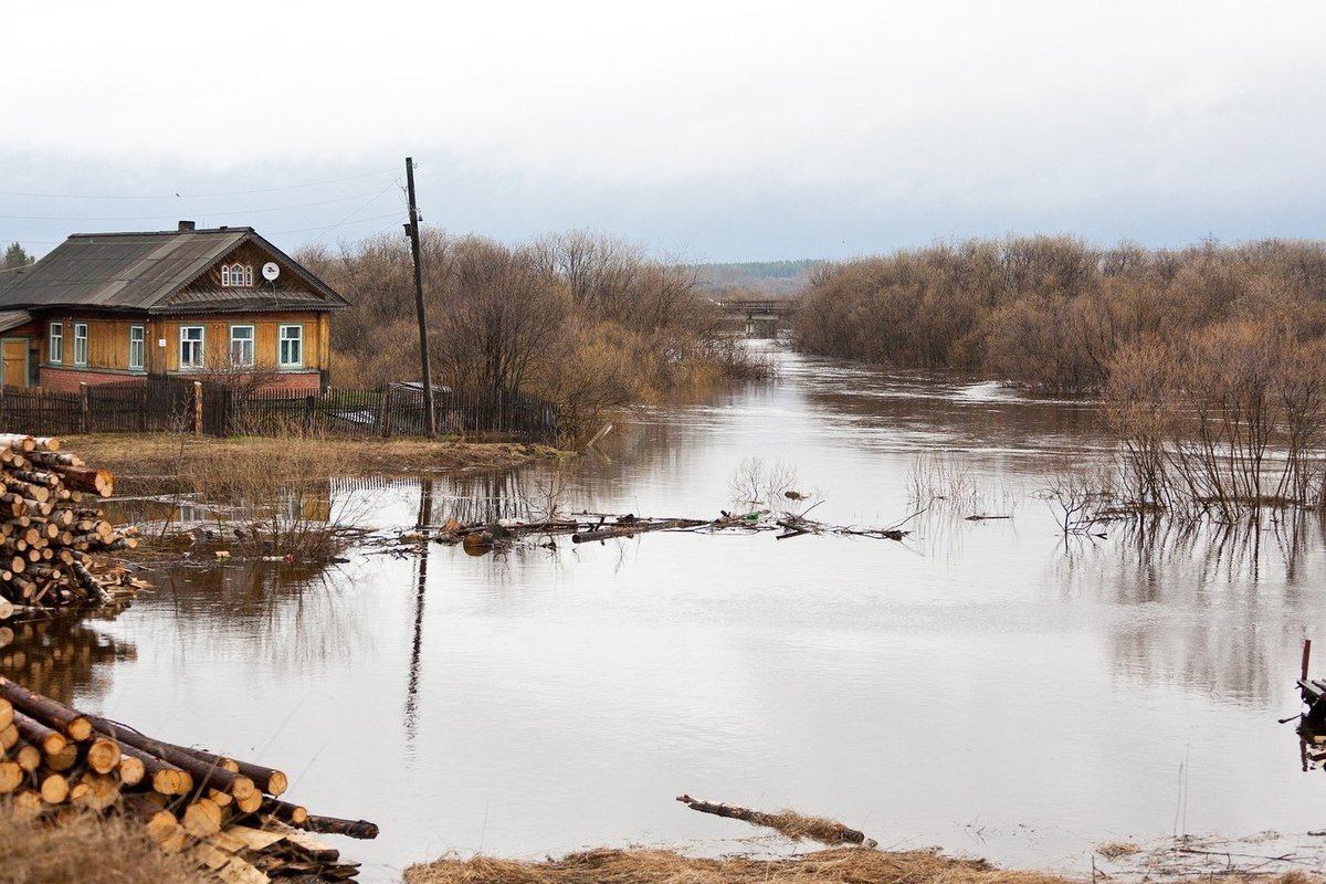 Жителей Молчаново предупредили о возможном подъеме воды в реке Обь - МК  Томск