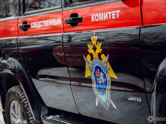 Кузбасский следком проведёт проверку по факту избиения пятиклассника охранницей в Кемерове