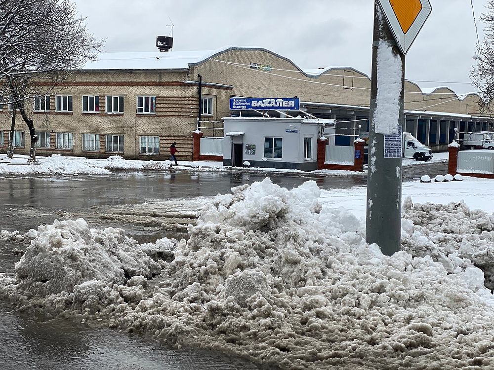 Unpredictable April: the consequences of bad weather in Tula surprised