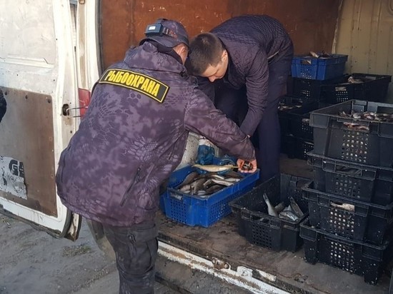 В Печорском районе поймали браконьера с рыбой на 4 млн рублей
