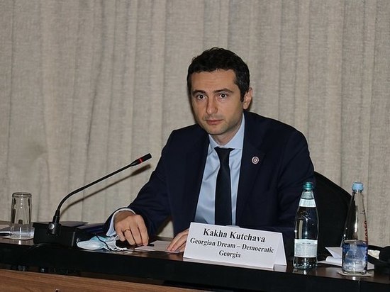 Кахабер Кучава избран новым председателем грузинского парламента