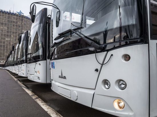 Генеральный директор ростовской транспортной компании уволился
