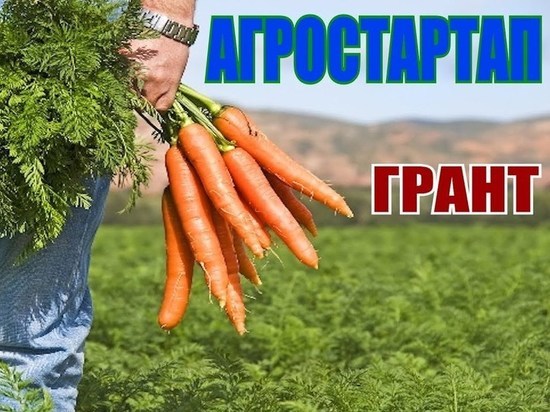 Прокуратура Якутии: 15 млн по гранту «Агростартап» были выделены неправомерно