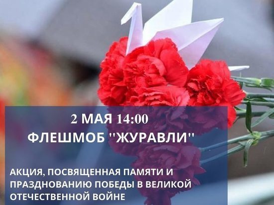 В Хабаровске 2 мая пройдет акция-флешмоб «Журавли»