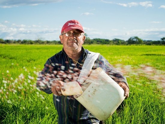 В ДНР хотят начать производство жидких удобрений