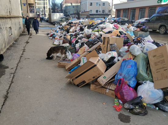 В Дагестане вывозом мусора займутся по новой схеме