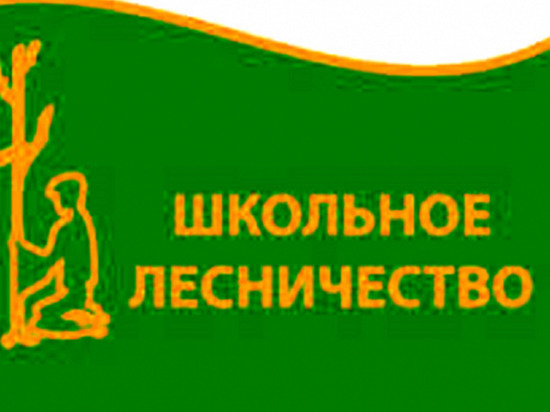 В костромской Якшанге восстановлено школьное лесничество