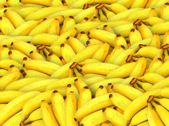 На Кубань из Эквадора пытались ввезти бананы с карантинными насекомыми