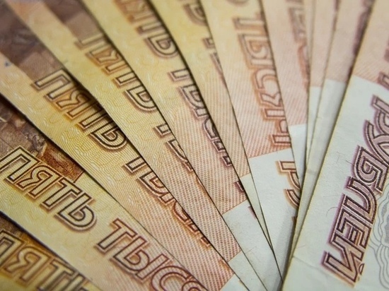 Директор гдовской фирмы получила срок за присвоение денег