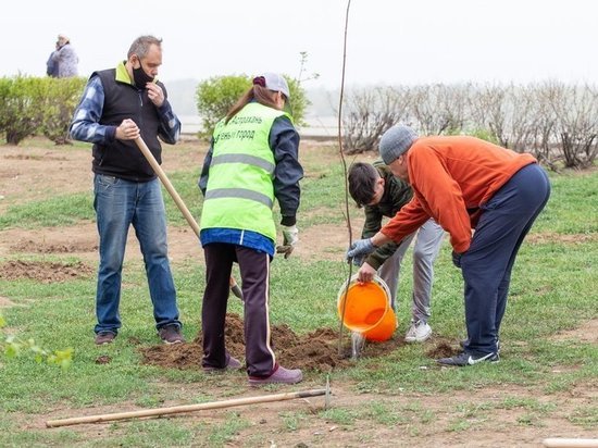 Подопечные центра «Содействие» внесли свой вклад в озеленение Астрахани