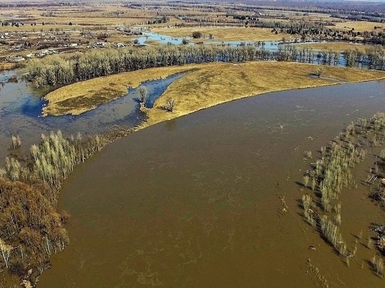 Алтайские синоптики предупредили о подъеме уровня воды в двух реках