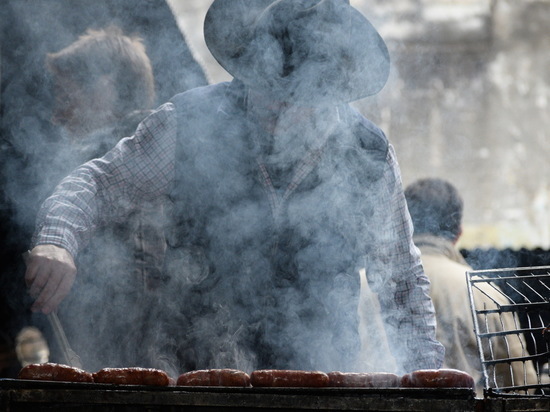 В МЧС рассказали, на каком мангале можно пожарить шашлык и не получить штраф