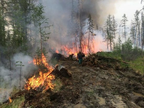 В 2021 году на борьбу с лесными пожарами в Якутии закупят в два раза больше специальной техники