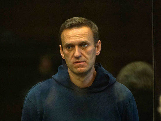 Приговор Навальному по делу о клевете на ветерана оставили прежним