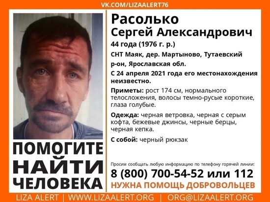 В Ярославской области ищут мужчину, пропавшего в СНТ