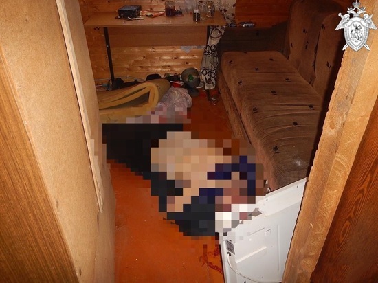 В Павловском районе хозяин убил гостя и спрятался в погребе