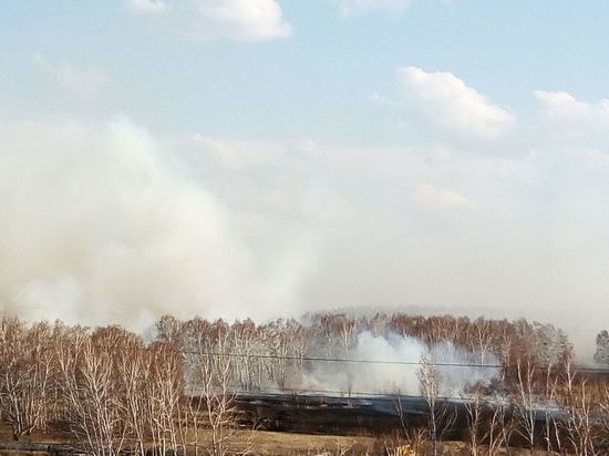 В Омске загорелись леса на Волгоградской