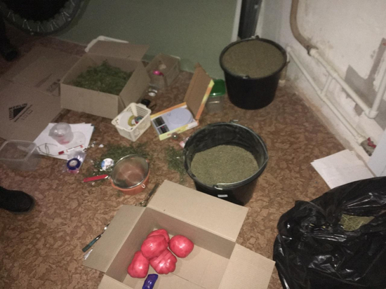 В Твери задержали наркобарона с 9 килограммами психотропных веществ