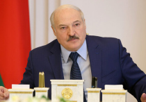 В фильме-расследовании, показанном на белорусском телеканале ОНТ, была раскрыта тайна погреба, который якобы готовили под похищение детей Лукашенко