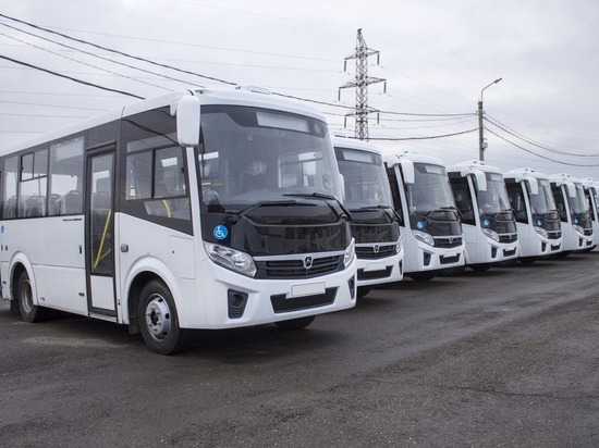 С 30 апреля на улицы Рязани выйдут 20 новых автобусов