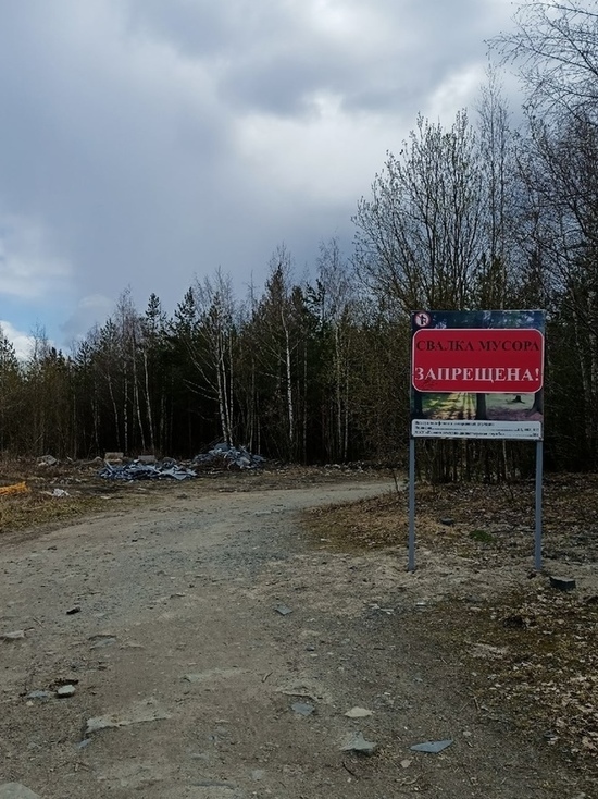 Новые таблички на Ключевском карьере Петрозаводска меньше мусора не сделали