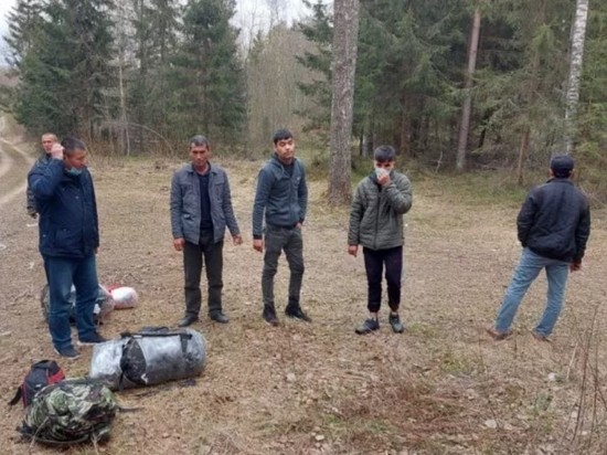Выходцы из Азии пытались незаконно пересечь границу в Псковской области