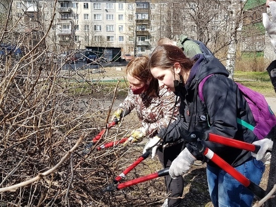 Горожане высадили дубы и клёны в парках Петрозаводска