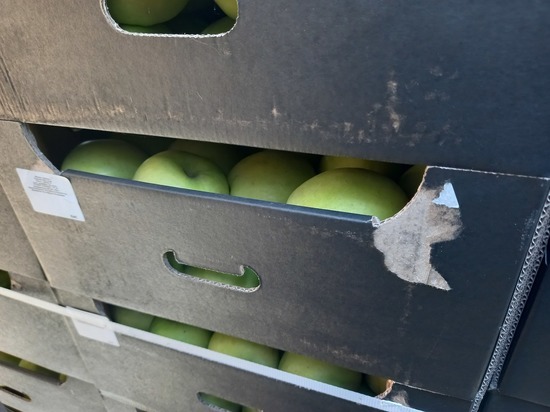 В Оренбуржье задержали 20 тонн польских яблок