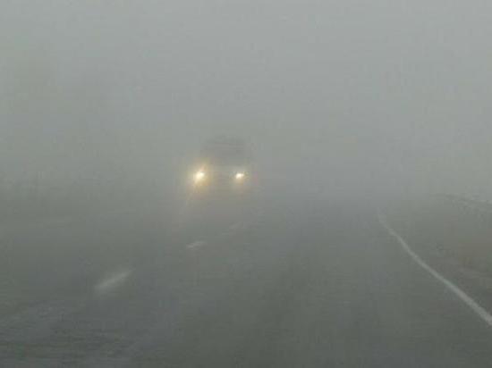 В Ростове-на-Дону прогнозируют туман