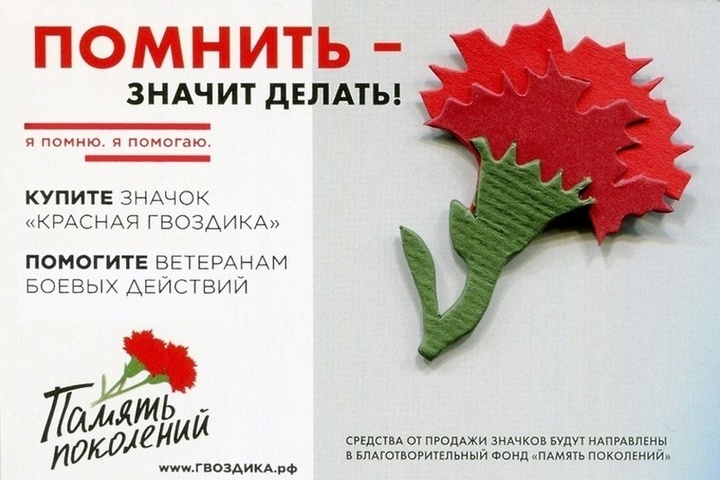 Костромичи могут стать участниками благотворительной акции «Красная гвоздика»