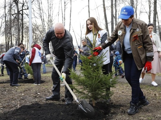 В память о ветеранах Великой Отечественной войны в Кузбассе высадят полмиллиона деревьев