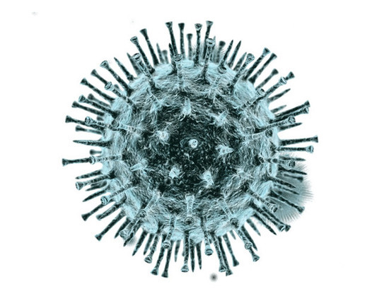 В Прикамье подтверждено 102 случая коронавируса