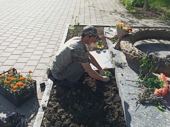 До начала лета клумбы Краснодара украсят более 330 тысяч цветов