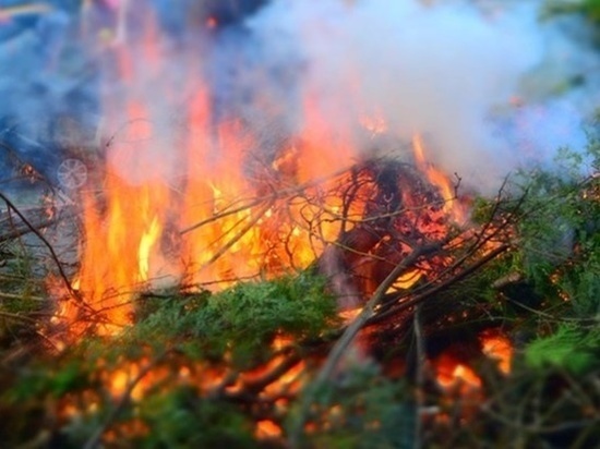Жителей Ростовской области предупредили о высокой пожароопасности