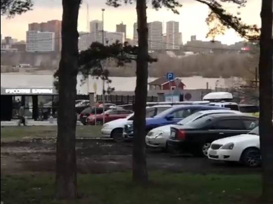 Припарковавшиеся на газоне Михайловской набережной водители возмутили новосибирцев