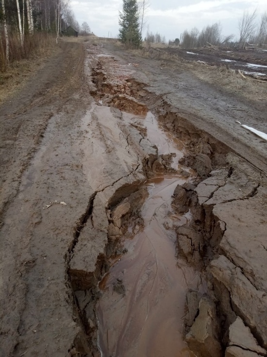 В Некоузском районе Ярославской области размыло последнюю дорогу