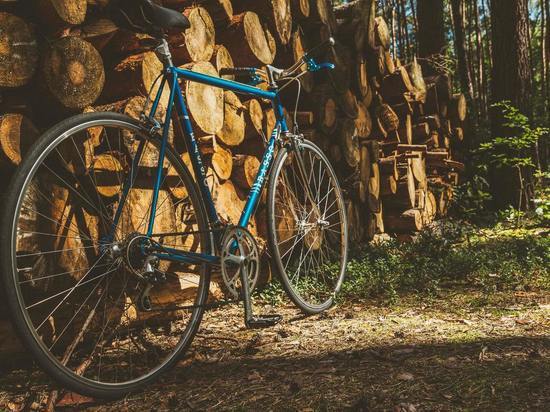 Уголовная ответственность грозит 30-летнему великолучанину за кражу велосипеда
