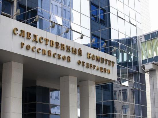 Глава Следкома взял под личный контроль дело об избиении педиатра в Петербурге