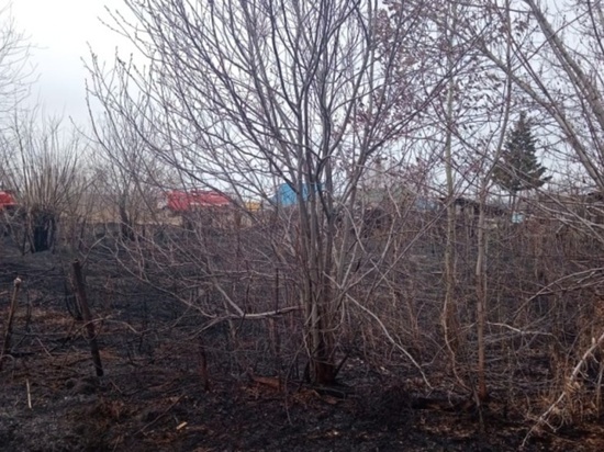 Пожароопасная ситуация в Новосибирской области выросла до чрезвычайного уровня