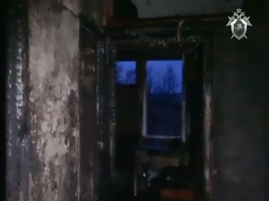 В Ленобласти в пожаре погибли два подростка, возбудили уголовное дело