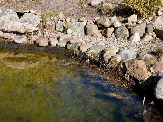 Петербургские и финские ученые создали установку для очистки водоемов