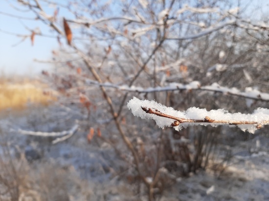 На Саратовскую область надвигаются заморозки: на дачах могут полопаться краны