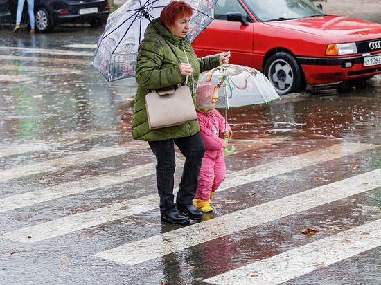 Дожди и грозы прогнозируют псковские синоптики 6 мая