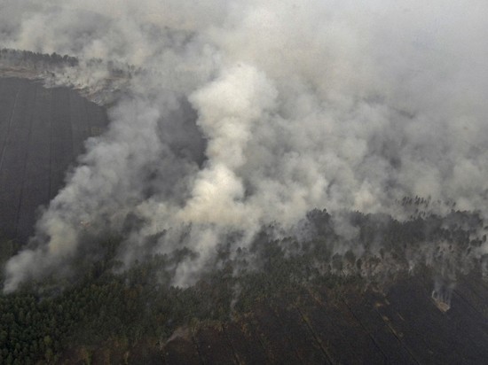 Парень спалил 20 га леса из-за невозможности поймать попутку